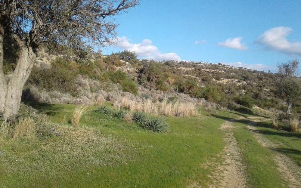 Grundstück in Limassol, Zypern, 18 785 m² - Foto 4