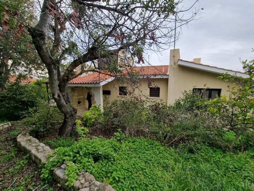 Bungalow in Paphos, Zypern, 135 m² - Foto 4