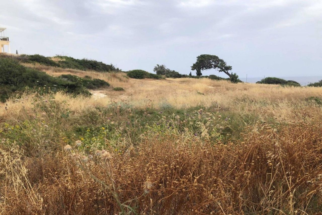 Terreno a Paphos, Cipro, 5 369 m2 - foto 4