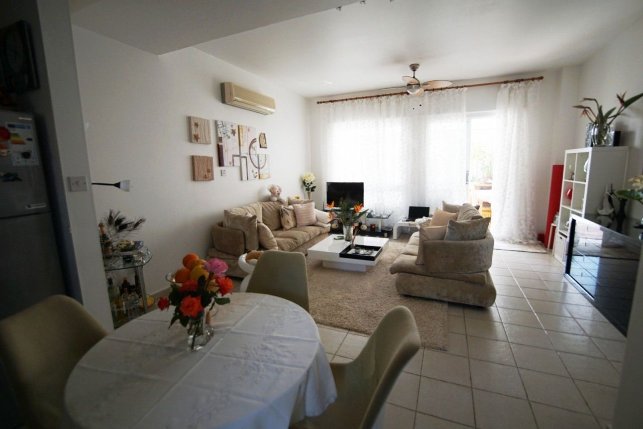 Maison urbaine à Paphos, Chypre - image 4