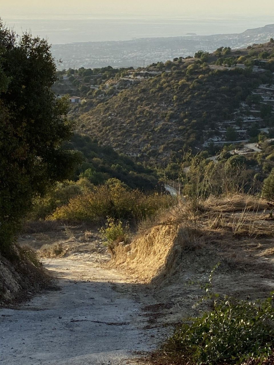 Terreno en Pafos, Chipre, 4 014 m² - imagen 4