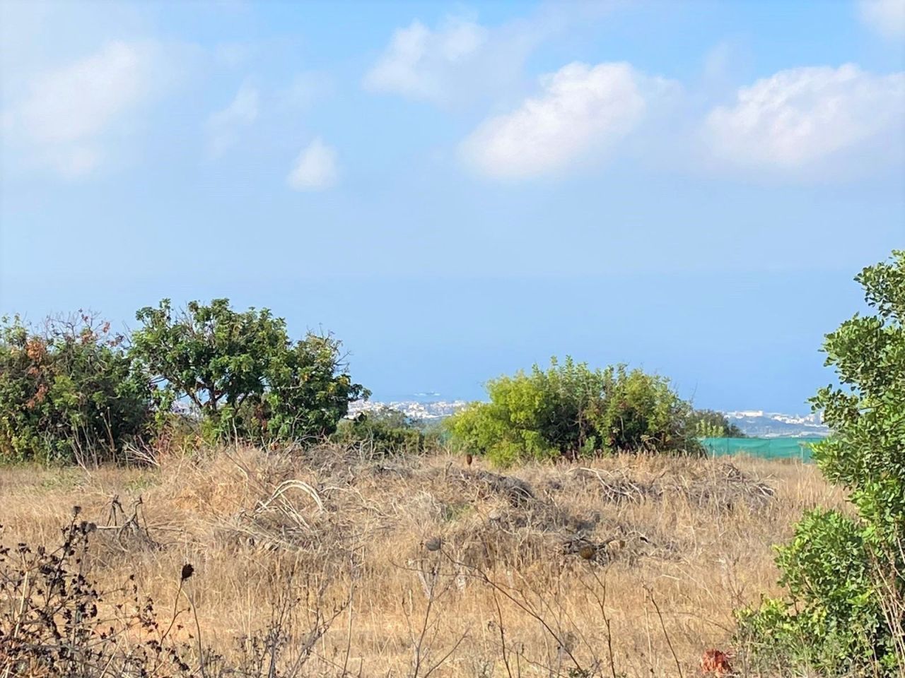 Terreno a Paphos, Cipro, 7 946 m2 - foto 4