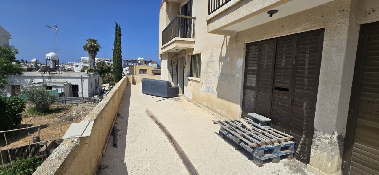 Commercial property in Paphos, Cyprus - picture 4