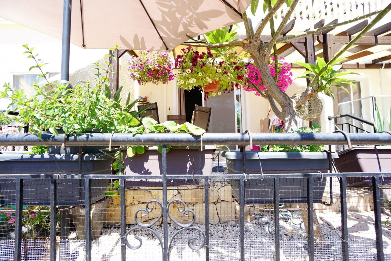 Stadthaus in Paphos, Zypern, 90 m² - Foto 4