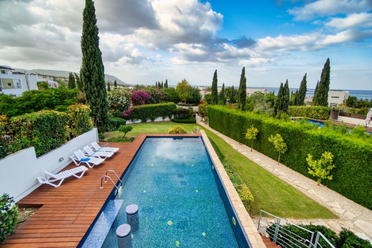 Villa in Paphos, Cyprus - picture 5