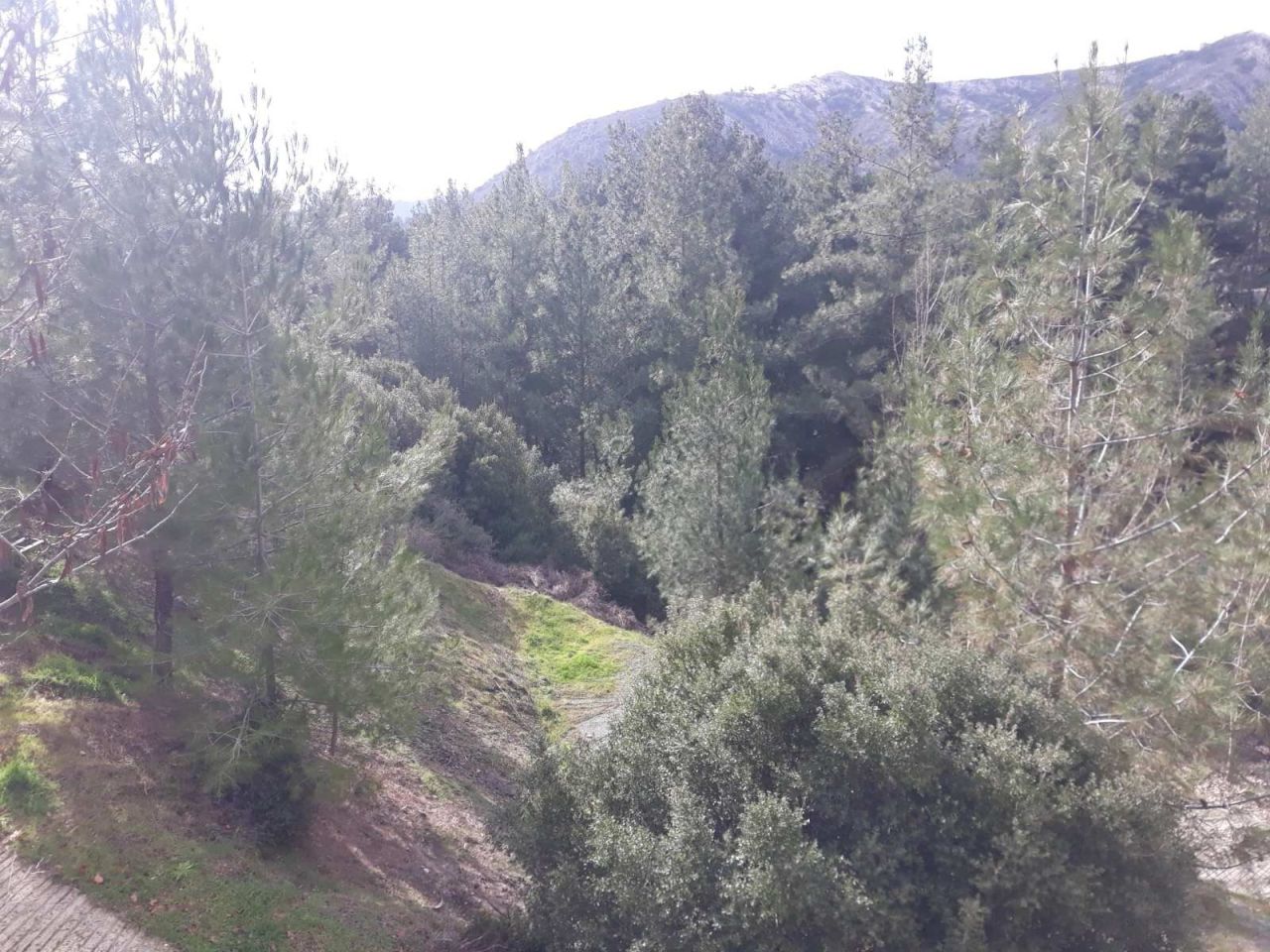 Villa en Limasol, Chipre, 225 m² - imagen 5