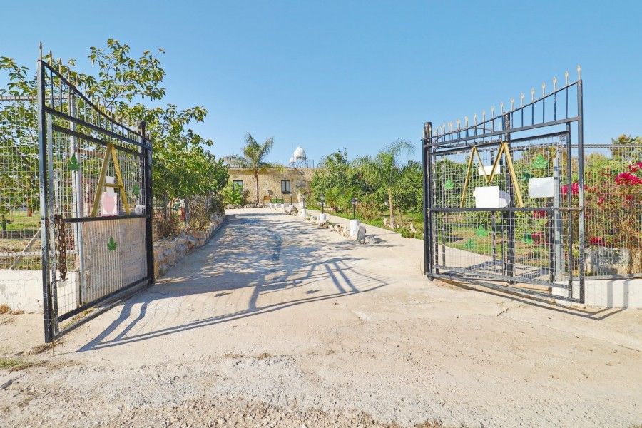 Bungalow a Paphos, Cipro, 145 m² - foto 5