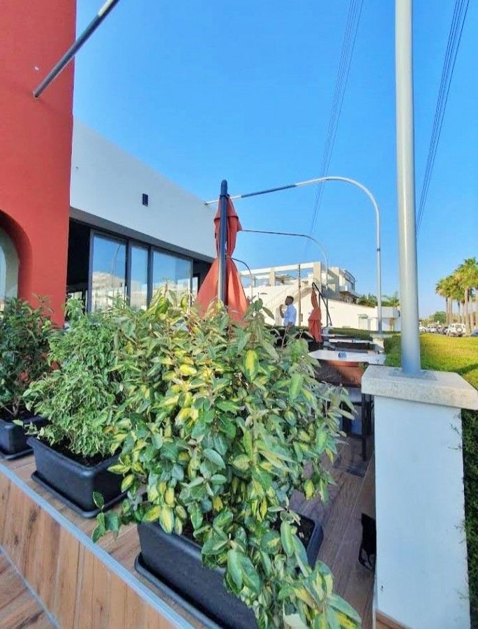 Cafe, restaurant in Larnaca, Cyprus, 300 m² - picture 5