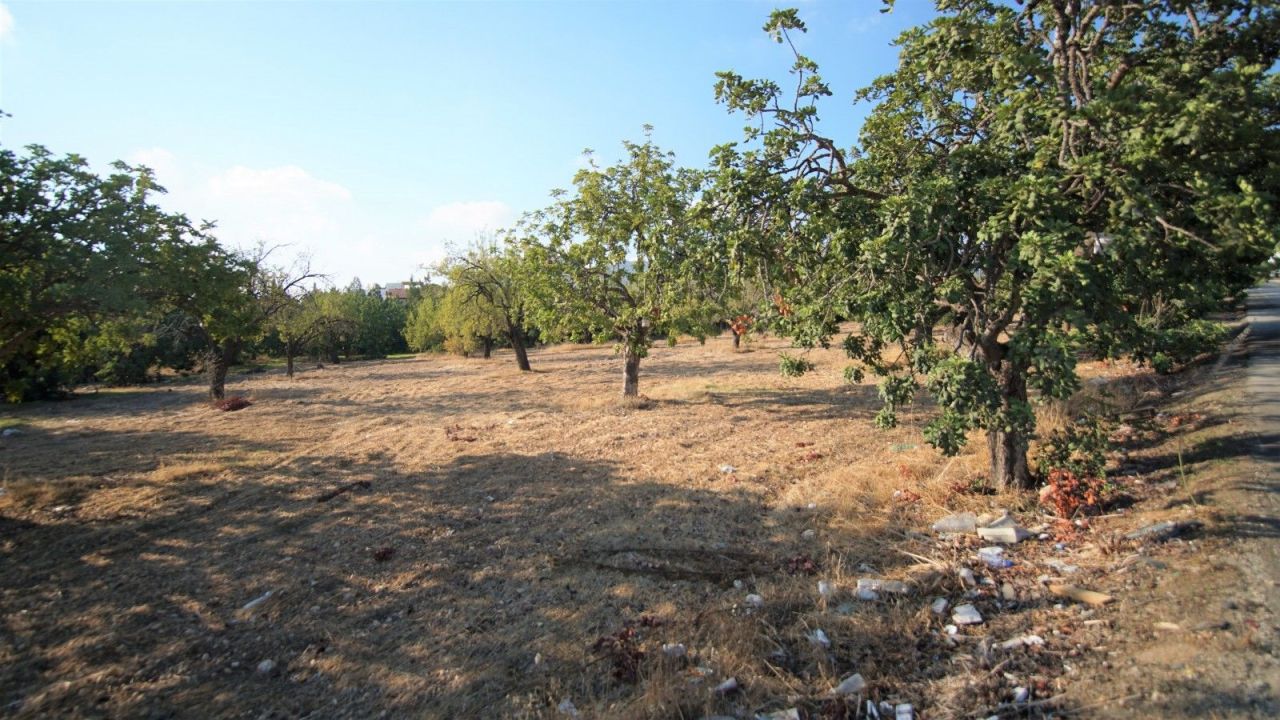 Terreno en Pafos, Chipre, 8 027 m² - imagen 5