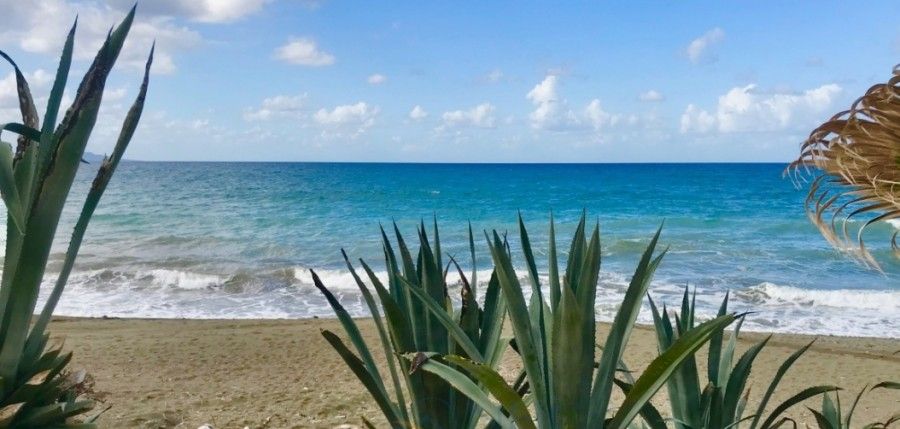 Biens commerciaux à Paphos, Chypre, 500 m² - image 5