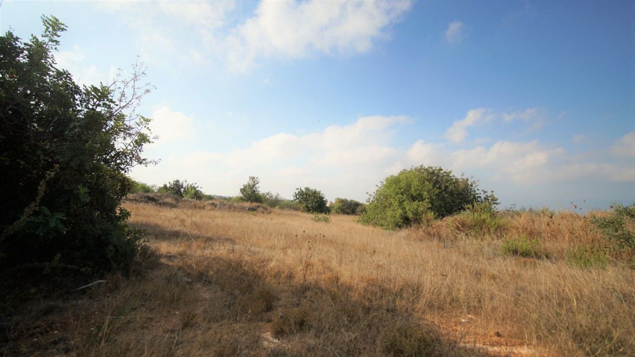 Terreno a Paphos, Cipro, 7 946 m2 - foto 5