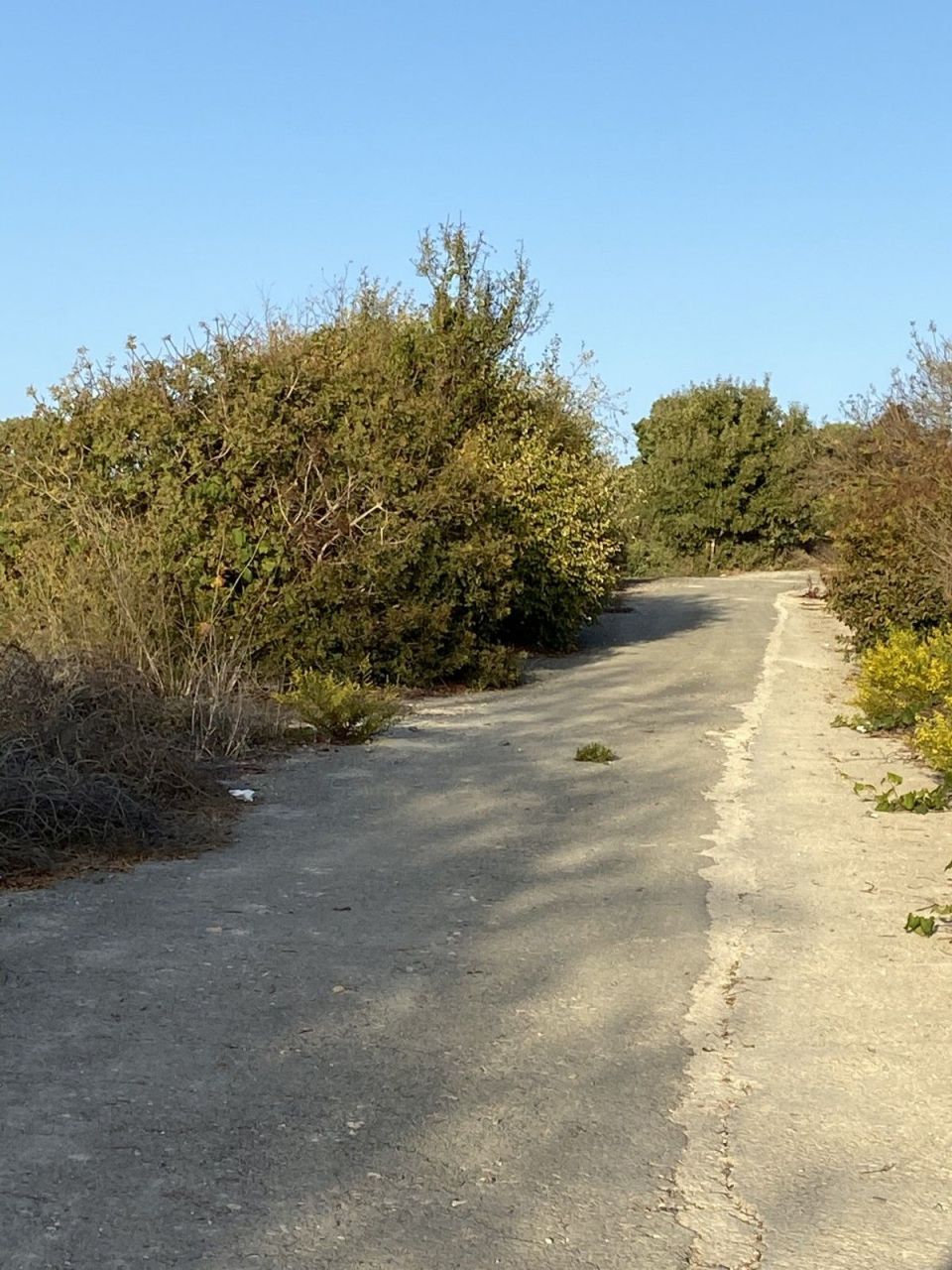 Terreno en Pafos, Chipre, 4 014 m² - imagen 5