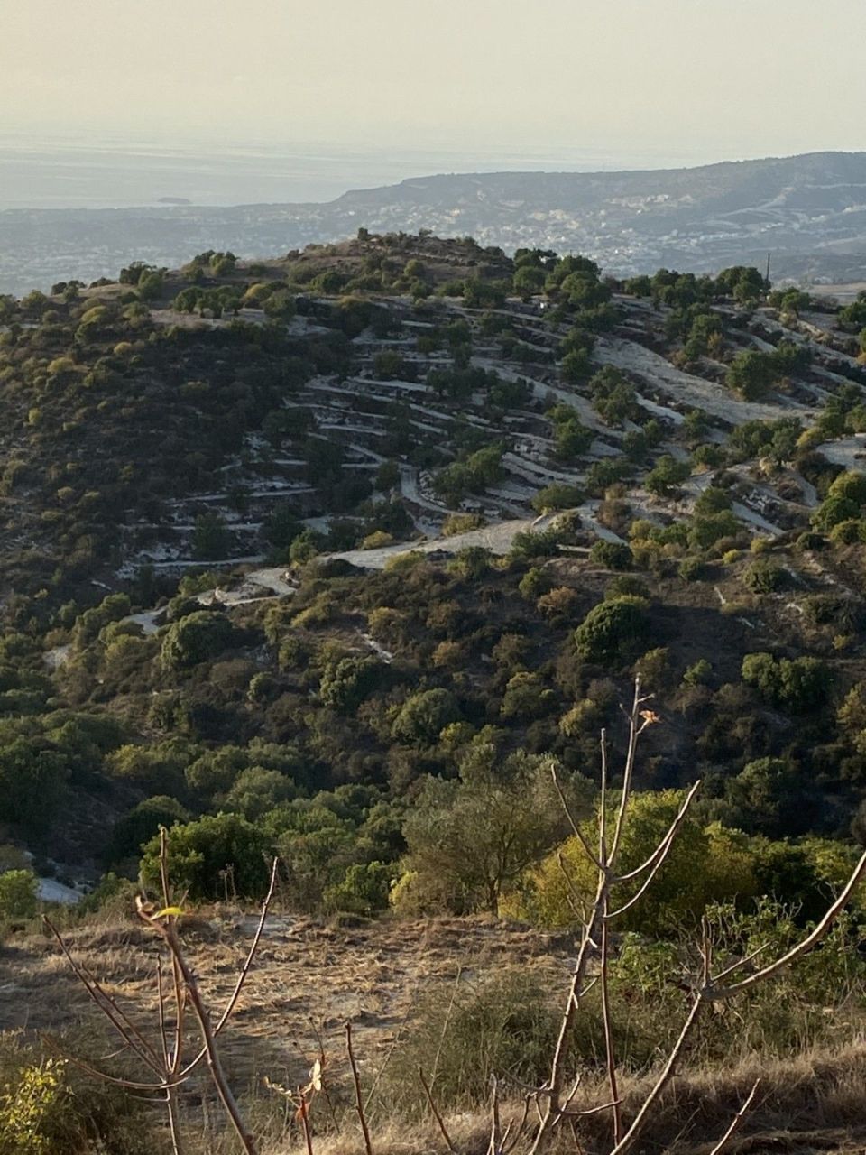 Terreno en Pafos, Chipre, 4 014 m² - imagen 6