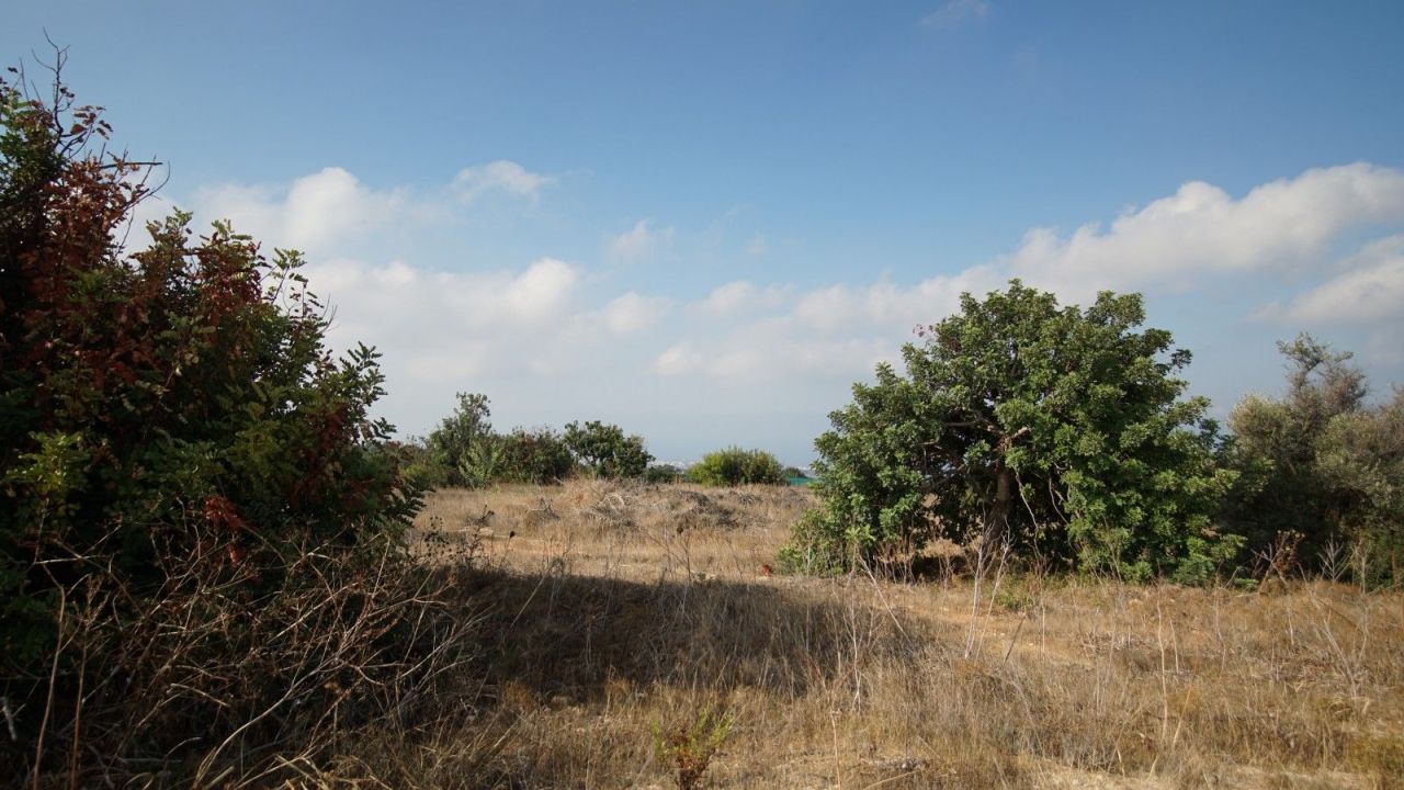 Terreno a Paphos, Cipro, 7 946 m2 - foto 6