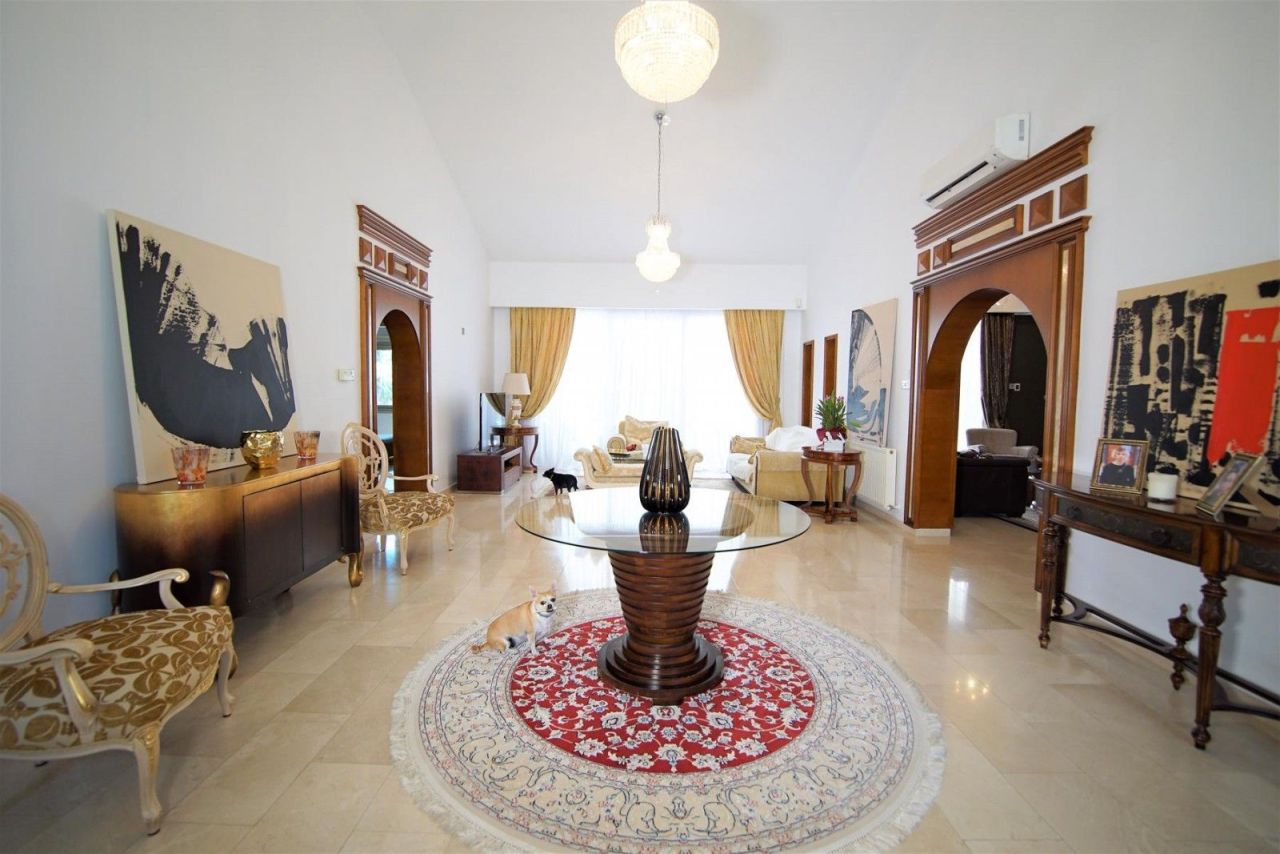 Bungalow à Paphos, Chypre, 350 m² - image 6