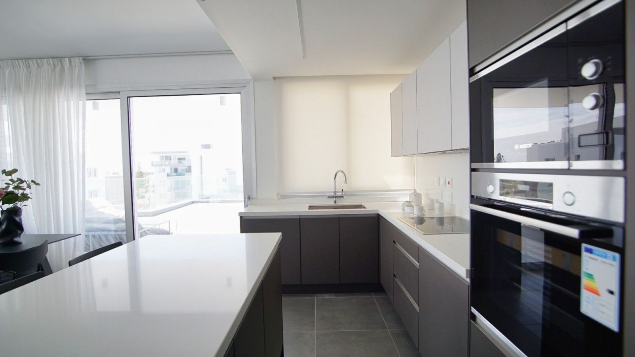 Penthouse in Limassol, Cyprus, 203 m² - picture 6