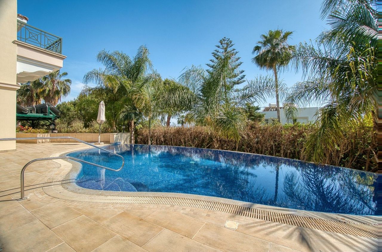 Villa in Paphos, Cyprus, 500 m² - picture 6