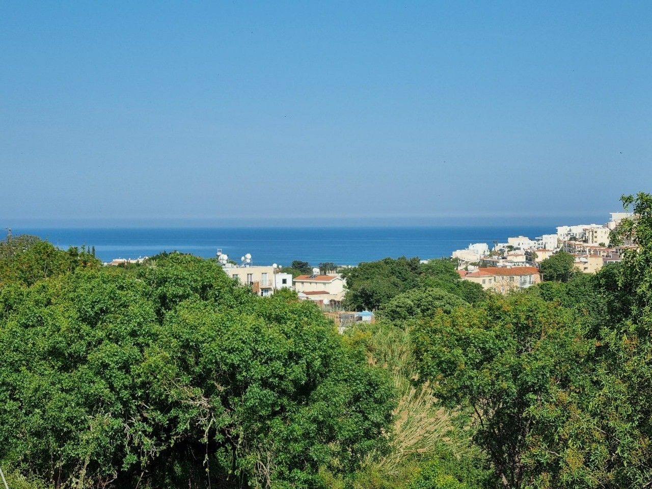 Land in Paphos, Cyprus, 2 984 m² - picture 6