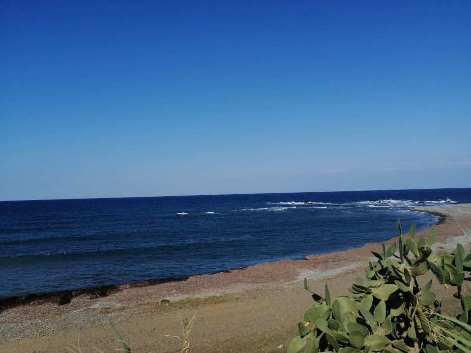 Land in Paphos, Cyprus - picture 6