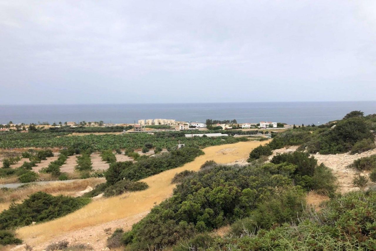 Terreno a Paphos, Cipro, 5 369 m2 - foto 6