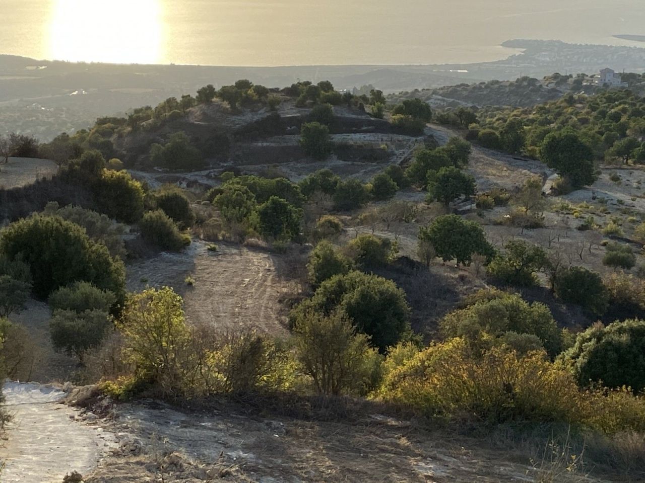 Terreno en Pafos, Chipre, 4 014 m² - imagen 7