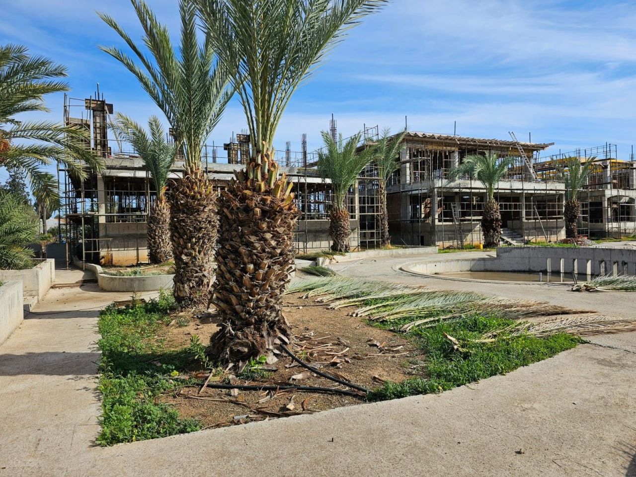 Maison urbaine à Larnaca, Chypre, 388 m² - image 7