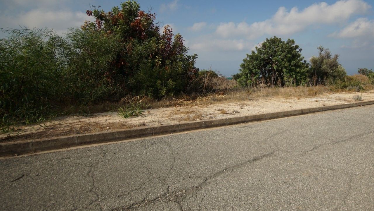 Terreno a Paphos, Cipro, 7 946 m2 - foto 7