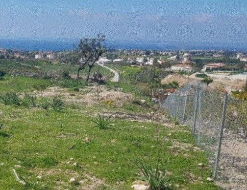 Terreno a Paphos, Cipro, 12 496 m2 - foto 7