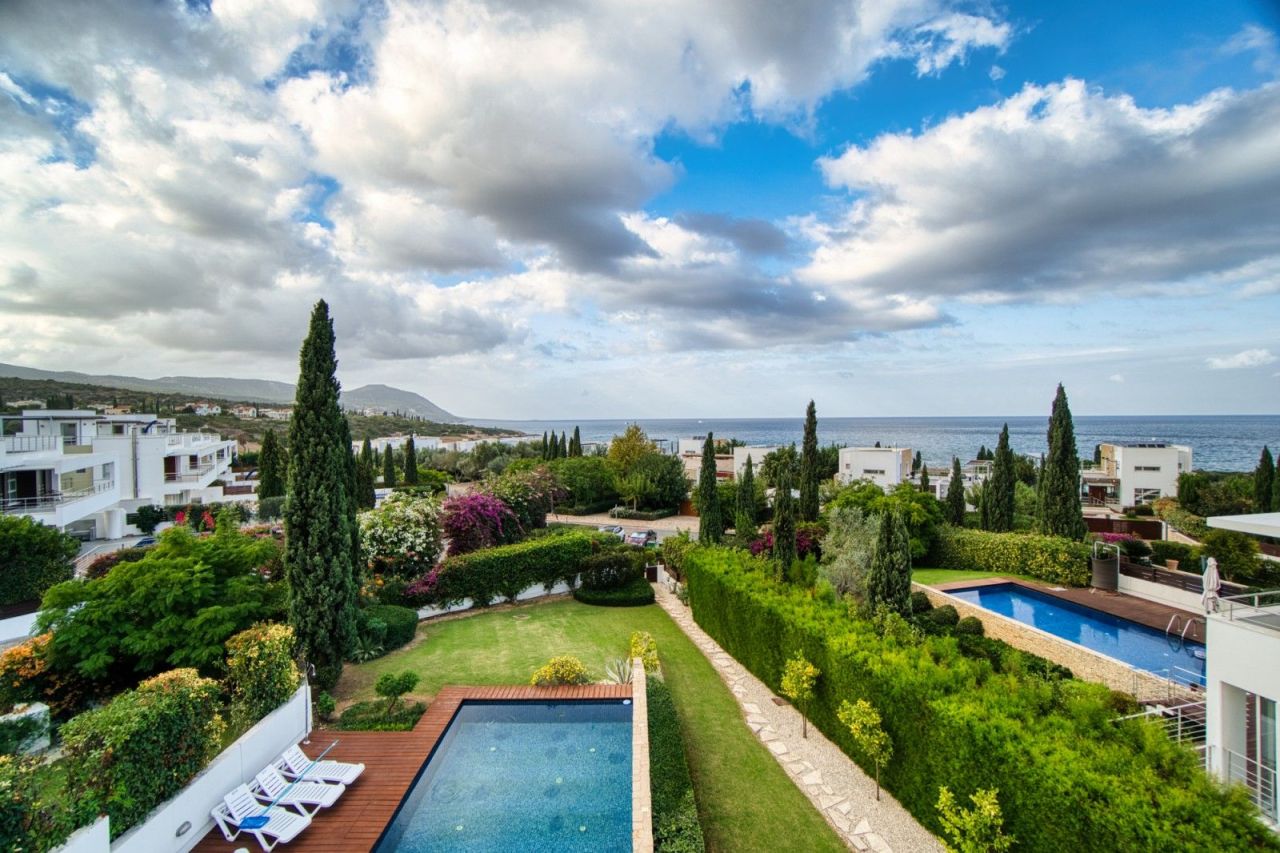 Villa in Paphos, Cyprus - picture 7