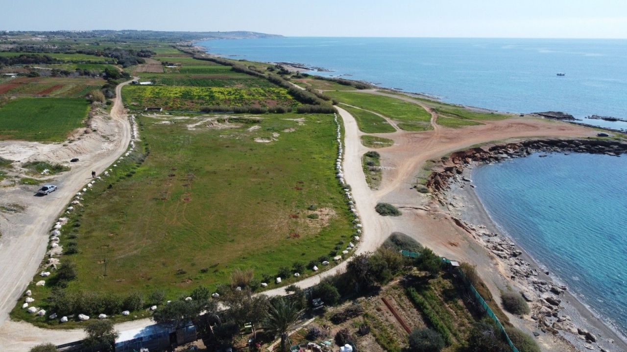 Grundstück in Larnaka, Zypern, 9 996 m² - Foto 7