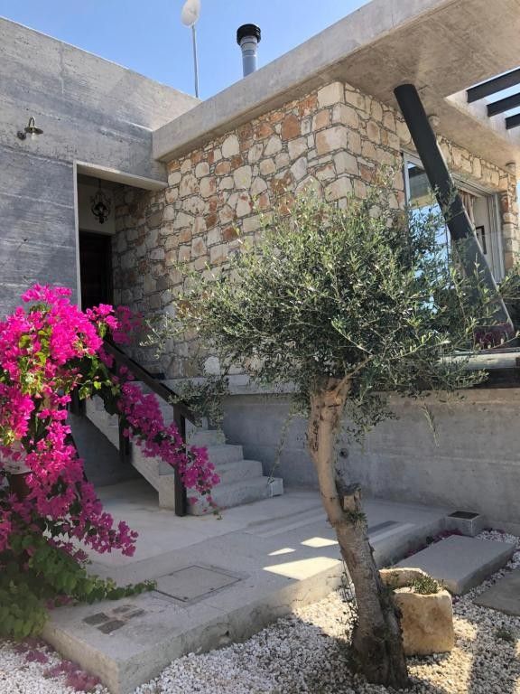 Bungalow in Paphos, Zypern, 160 m² - Foto 7