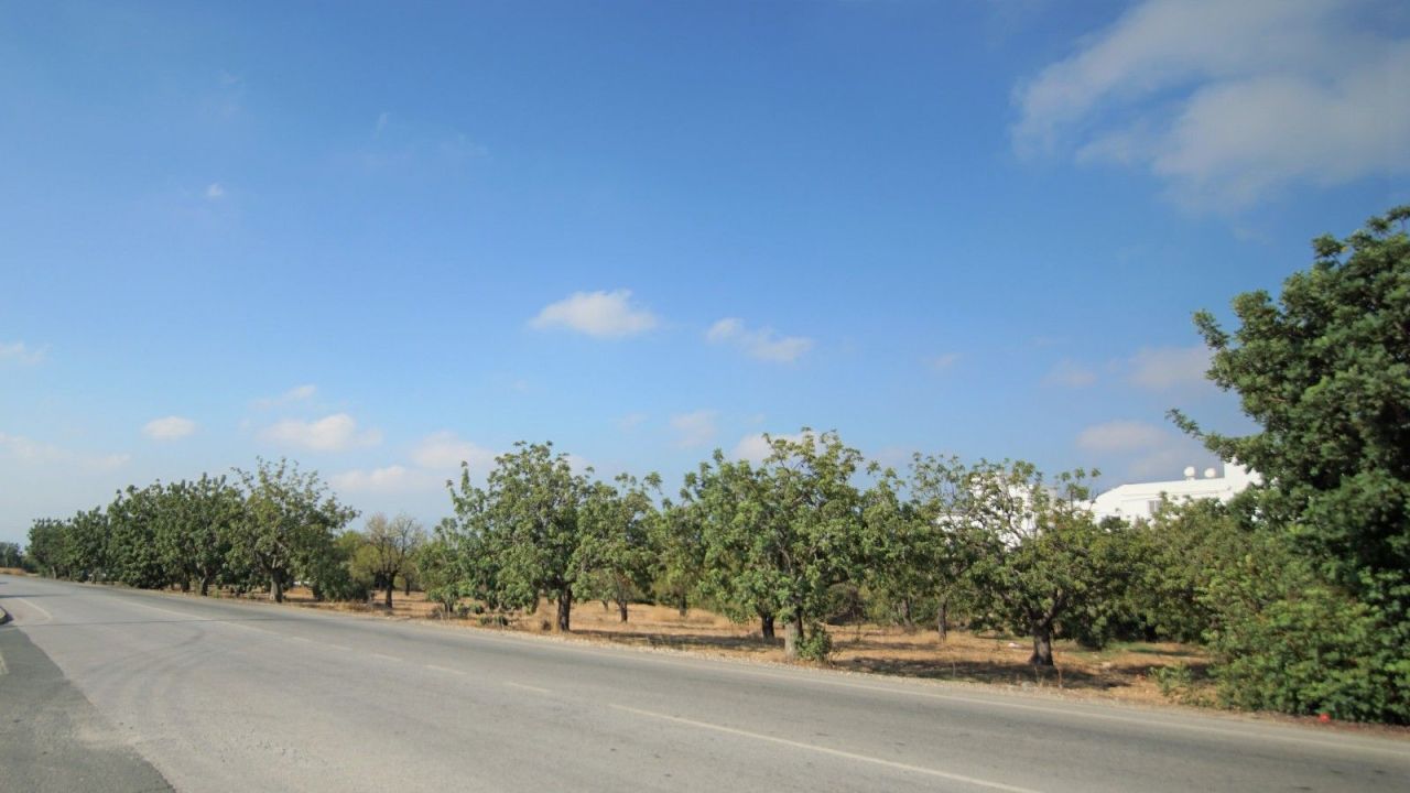 Terreno en Pafos, Chipre, 8 027 m² - imagen 7