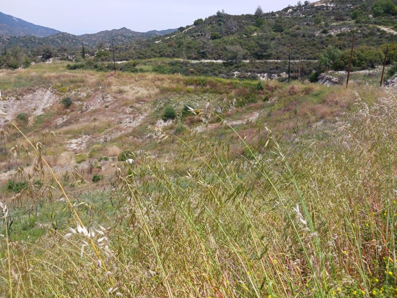 Land in Limassol, Cyprus, 5 500 m² - picture 7