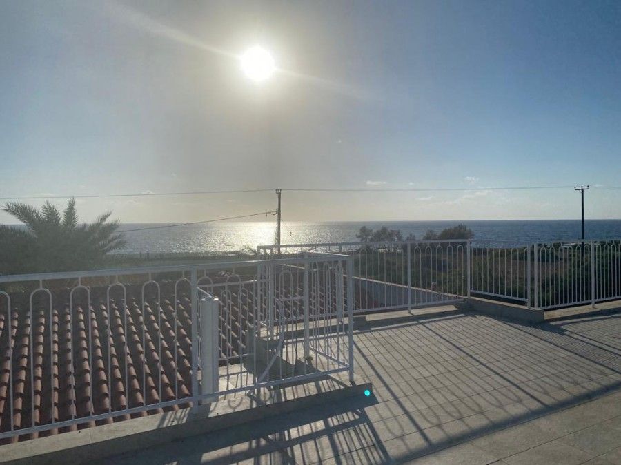 Bungalow in Paphos, Cyprus, 2 672 m² - picture 7