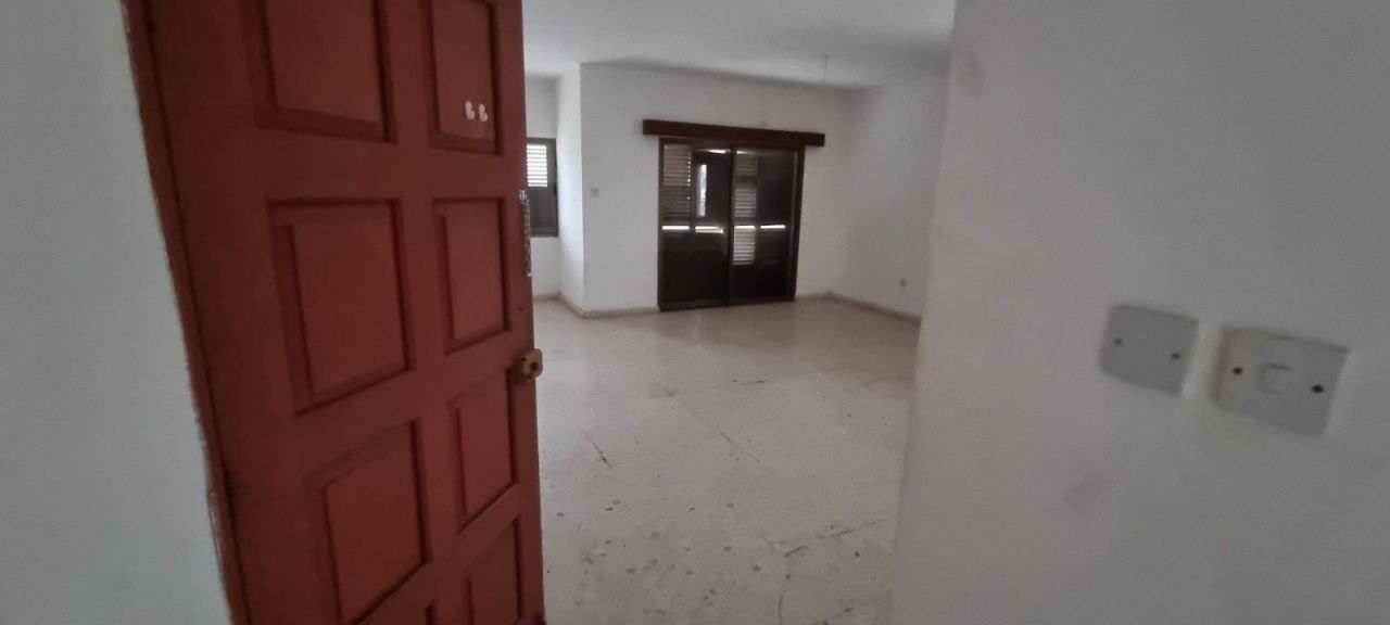 Commercial property in Paphos, Cyprus - picture 8