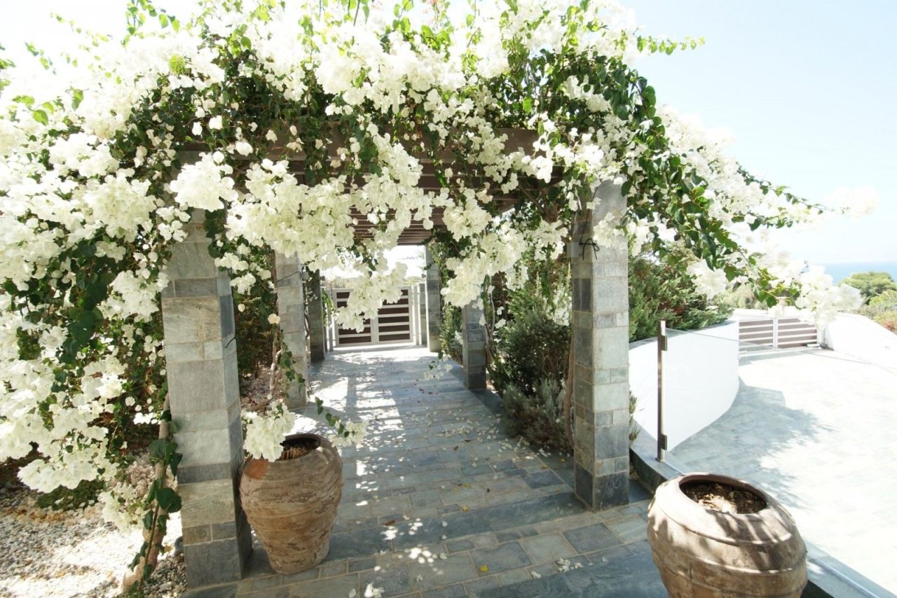 Villa a Paphos, Cipro, 600 m² - foto 8