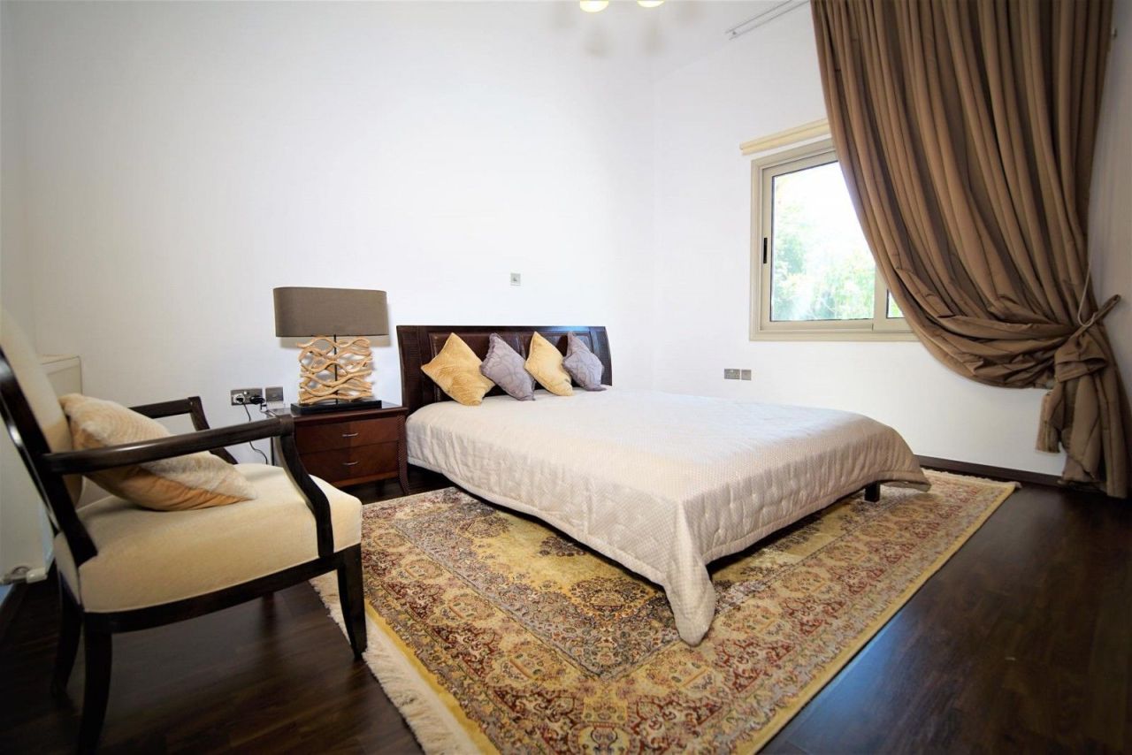 Bungalow à Paphos, Chypre, 350 m² - image 8