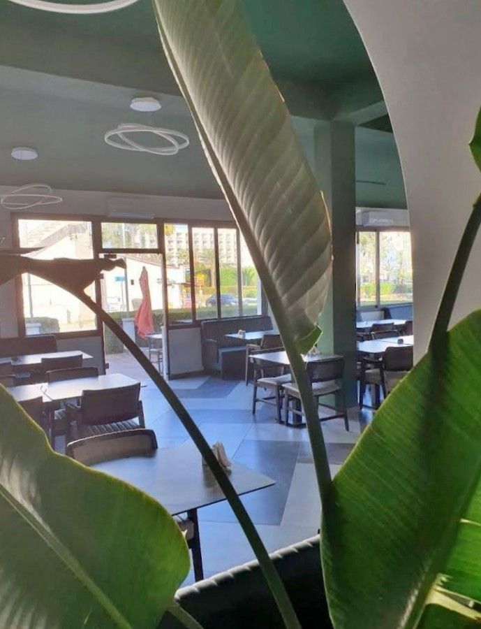 Cafe, restaurant in Larnaca, Cyprus, 300 m² - picture 8