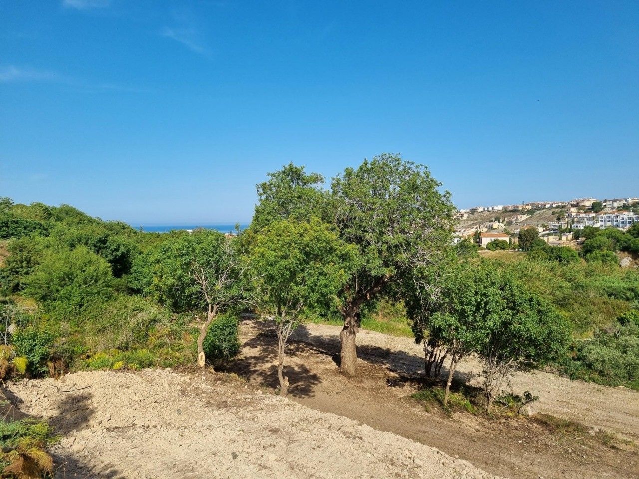 Land in Paphos, Cyprus, 2 937 m² - picture 8