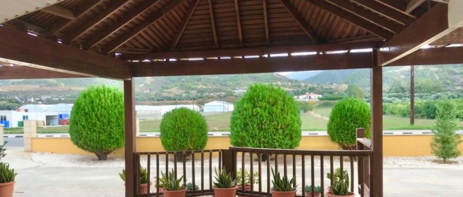 Biens commerciaux à Paphos, Chypre, 500 m² - image 8