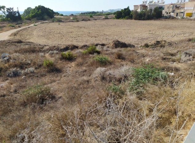 Terreno a Paphos, Cipro, 5 387 m2 - foto 8