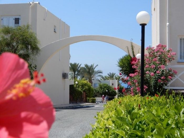 Cafetería, restaurante en Pafos, Chipre - imagen 8