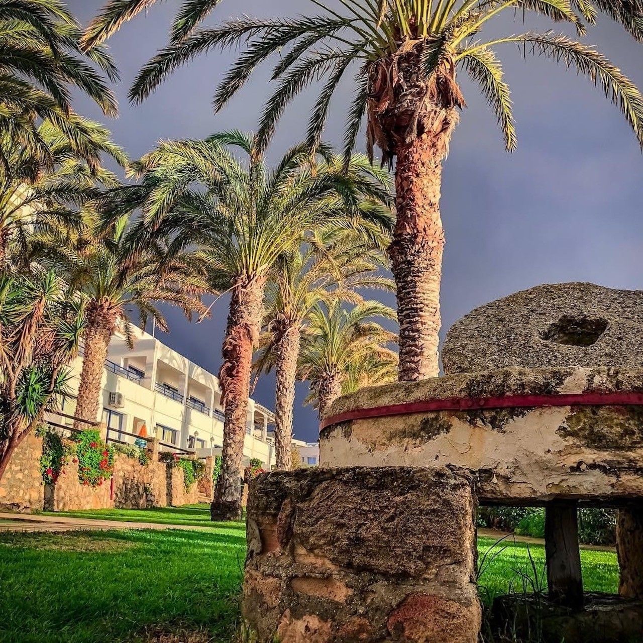 Hotel in Paphos, Zypern, 2 000 m² - Foto 8