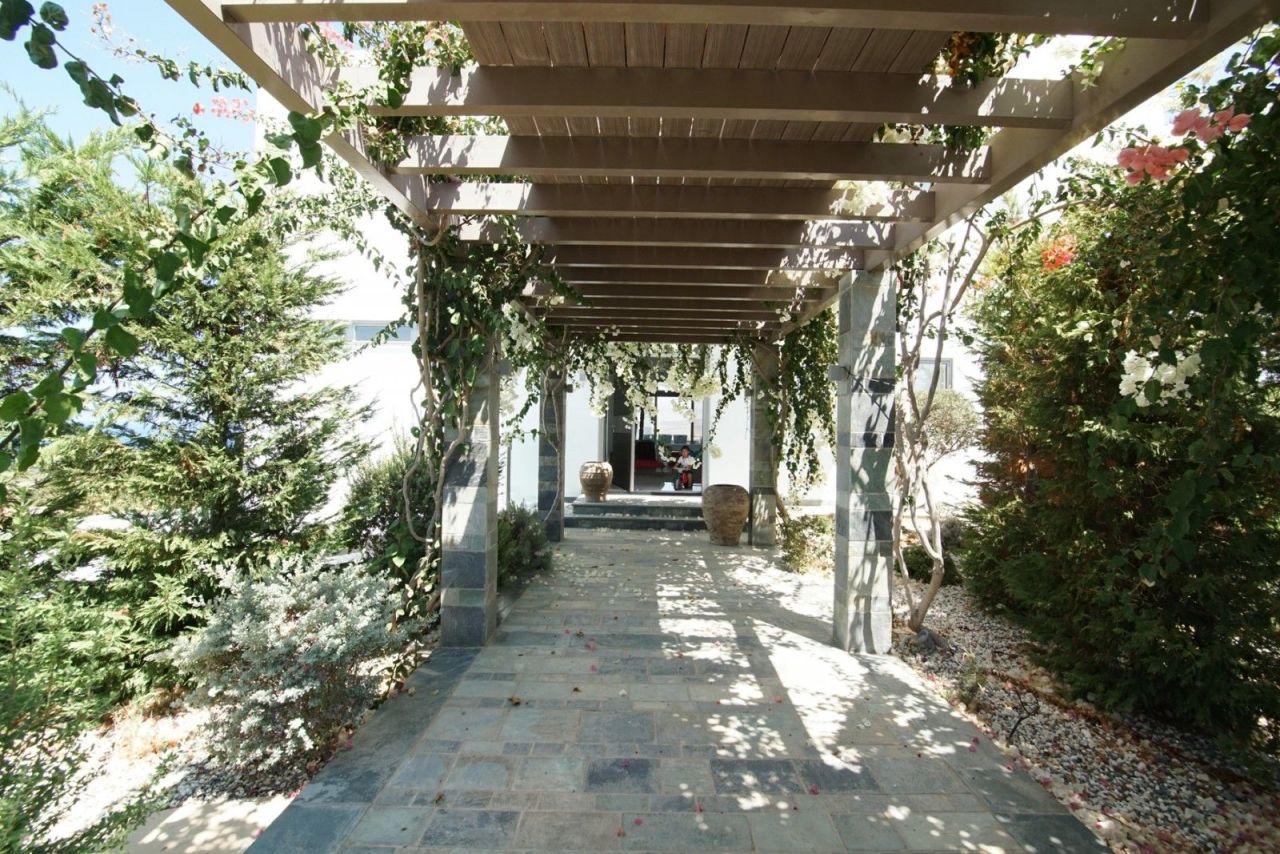 Villa a Paphos, Cipro, 600 m² - foto 9