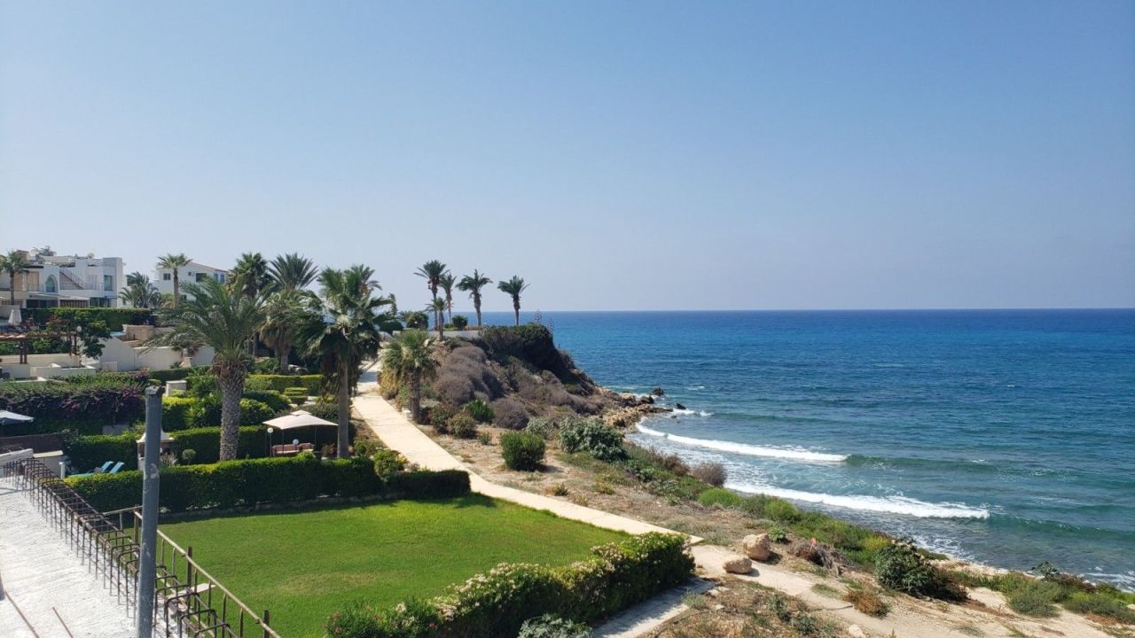 Villa in Paphos, Cyprus, 503 m² - picture 9