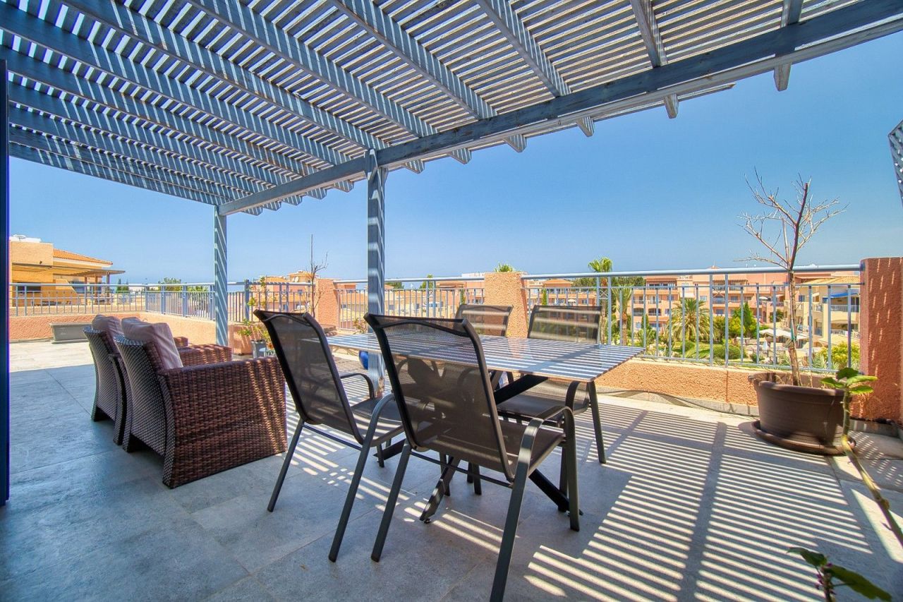 Penthouse à Paphos, Chypre - image 9