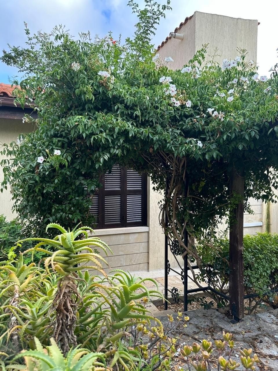 Bungalow in Paphos, Cyprus, 150 m² - picture 9