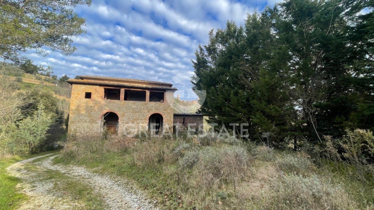Maison à Montalcino, Italie, 412.4 m² - image 6