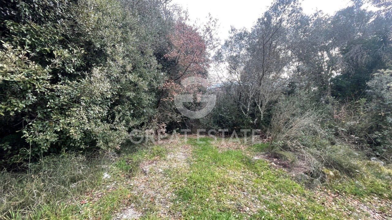 Maison à Montalcino, Italie, 412.4 m² - image 8