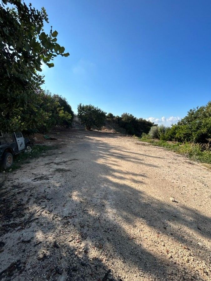 Terreno a Paphos, Cipro, 1 338 m2 - foto 10